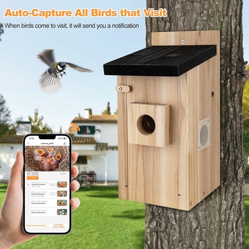 Smart bird house - smart,