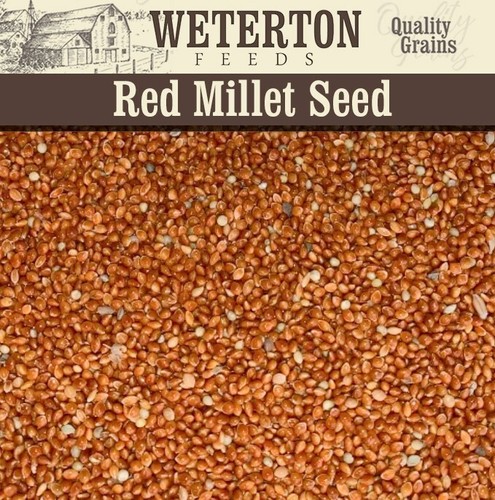 Red and white - mix, –