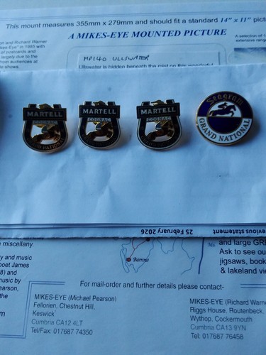Four grand national badges - national,