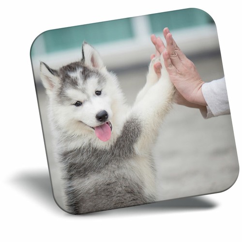 Awesome fridge magnet cute - fridge,