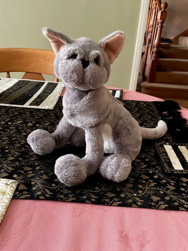 Rare plush grey - grey, apart