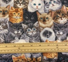 Fat Quarter Stacked Cats And Kittens Cute Eyes 100% Cotton Quilting Fabric