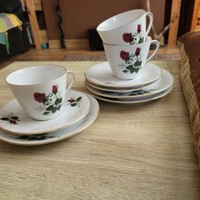 Seltmann Weiden Bavaria tea