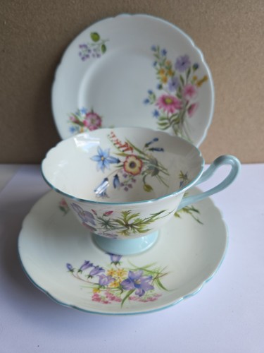 Shelley bone china wild - shelley,
