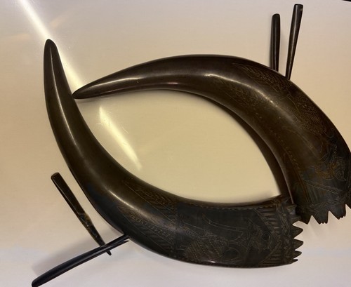 Pair carved buffalo horn - pair, of