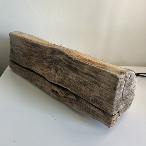 Heavy tree trunk - 1,