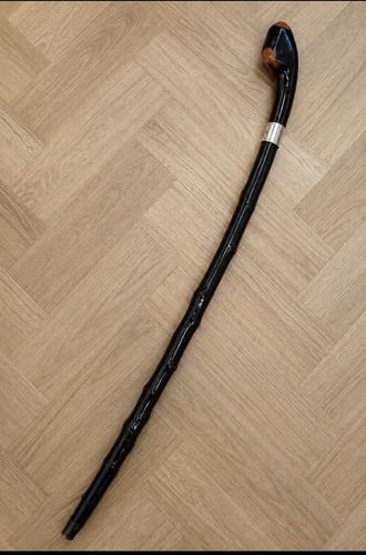 Irish blackthorn walking - walking, stick