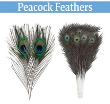Natural Peacock Feathers Real