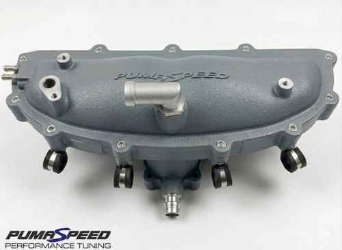 Pumaspeed racing ford fiesta - pumaspeed,