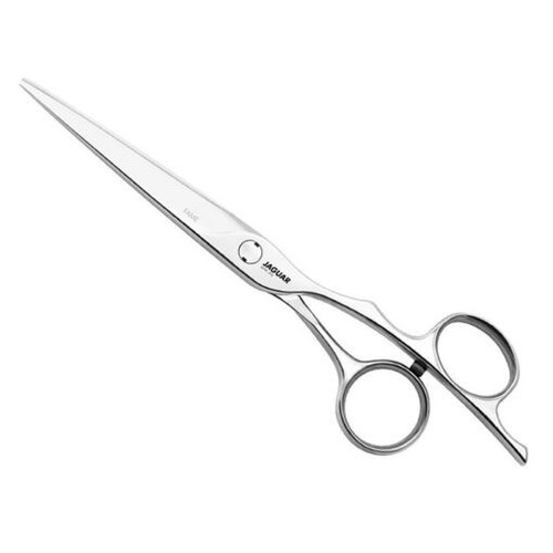 Jaguar fame hairdressing - fame,