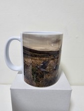 Springer Spaniel Mug