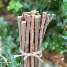 Plant Support Sticks Willow