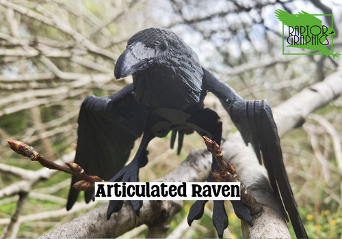 Articulated raven crow model - articulated,