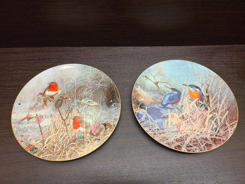Frosty mornings plate bird - frosty,