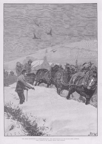 1886 antique print - 1886,
