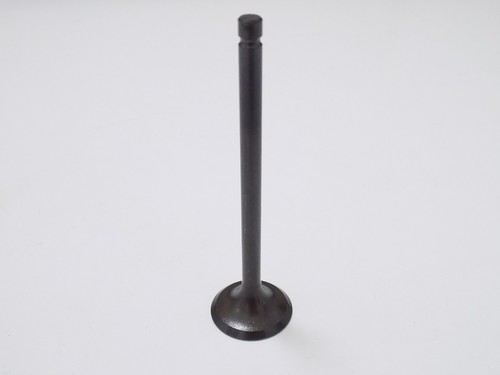 Inlet valve honda - inlet,