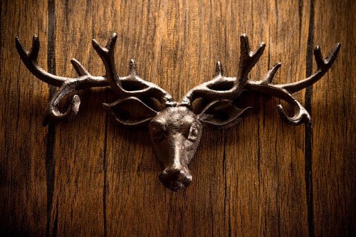 Hook stag head wall - 6,