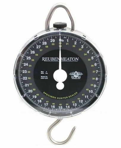 Reuben heaton specimen - reuben, hunter