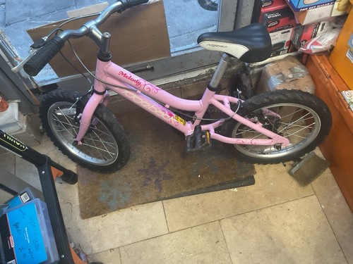 Bicycle ridgeback - bicycle, 16