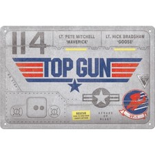 Metal Plate Top Gun F-14