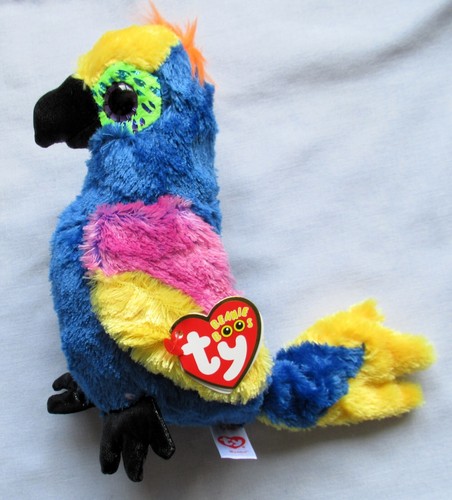 Wynnie the macaw parrot bird - parrot,