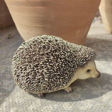 Vivid Arts Pygmy Hedgehog Pet