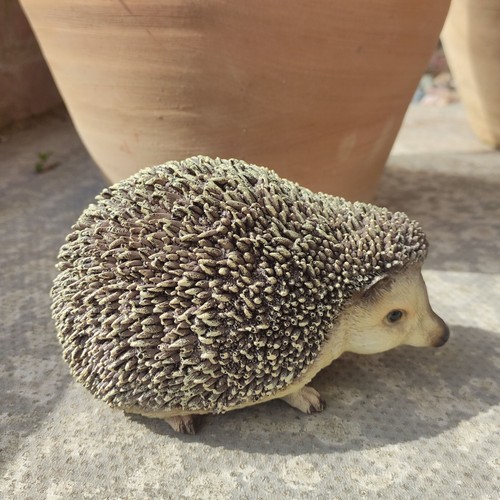 Vivid arts pygmy hedgehog - arts,