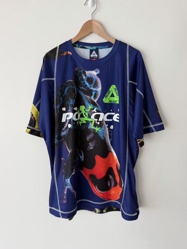 Palace skateboards fw25 - palace,