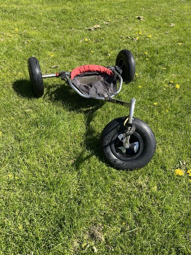 Flexifoil kite buggy with - kite,