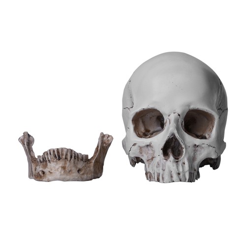 720g resin replica - 720g, life