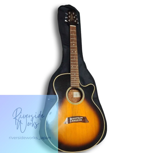 Takamine 106 electric - pt-106,