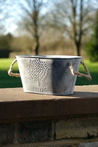 Small zinc oval planter - oval,