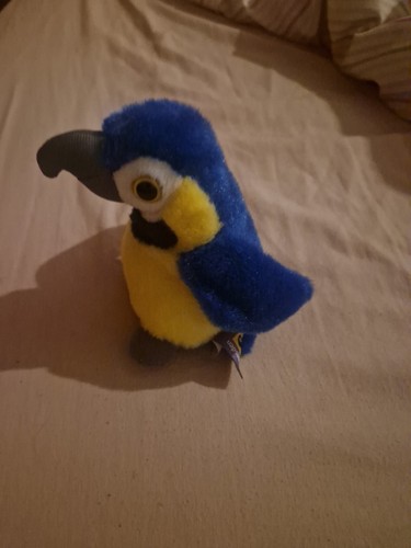 Ravensden blue yellow macaw - ravensden,