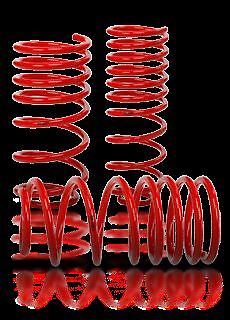 Vmaxx lowering springs fit - lowering,
