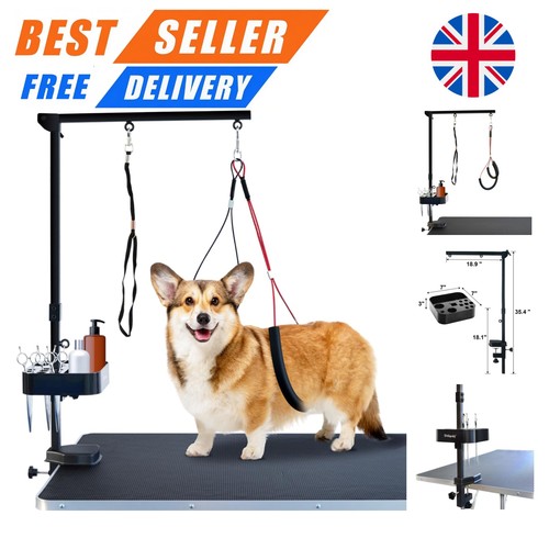 Height adjustable foldable - adjustable, dog