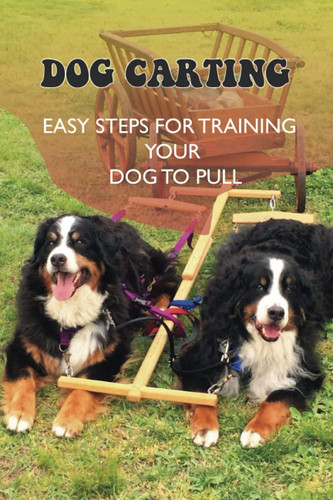 Dog carting easy steps - dog,