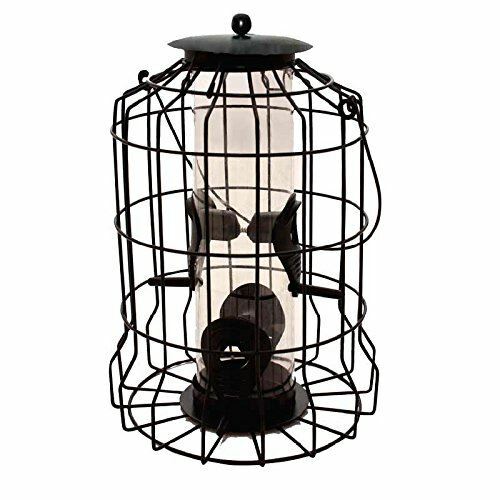 Large squirrel proof seed - large,