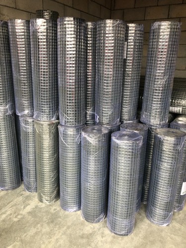 Welded chicken wire - chicken,