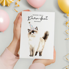 Ragdoll Cat Birthday Card –