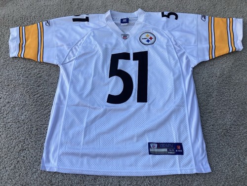 Pittsburgh steelers nfl - pittsburgh,