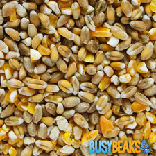 BusyBeaks Mixed Poultry Corn -