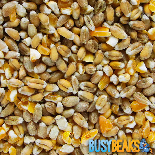 Busybeaks mixed poultry corn - corn,