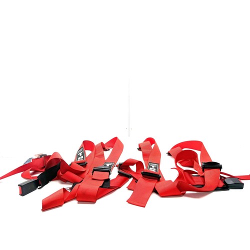 Renault megane trs harness - renault, rs
