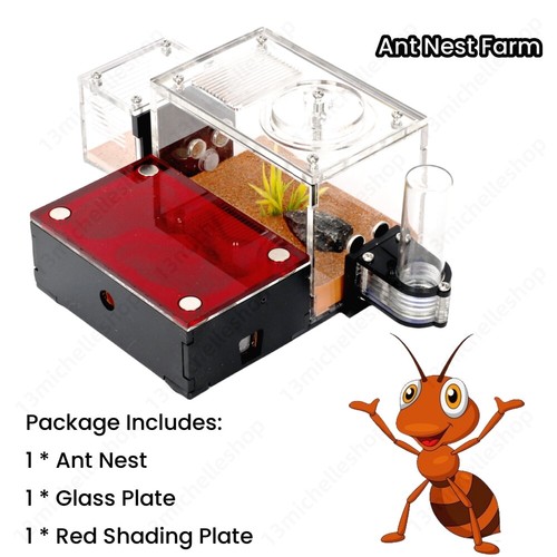 Ant farm castle house - house, with