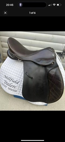 Wide english gfs saddle - english,