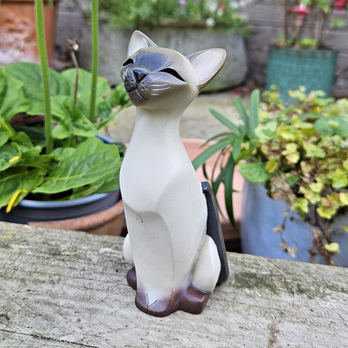 Siamese cat pedigree - pedigree, pals