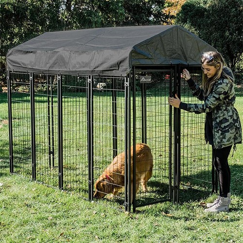 Sturdy outdoor dog - sturdy, kennel