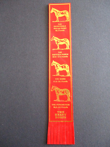 Leather bookmark the - bookmark,