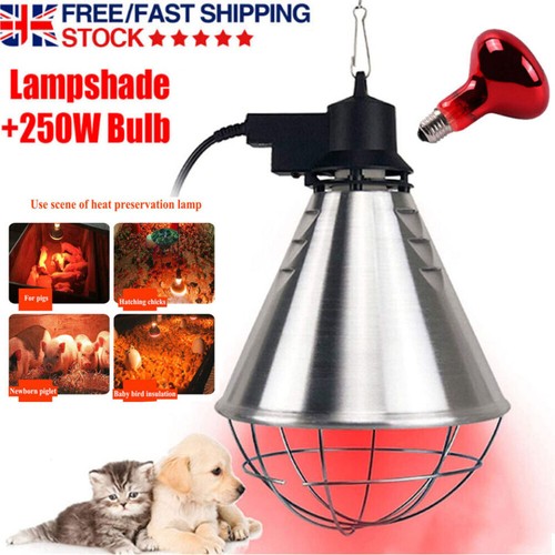 Infrared heat lamp 250w bulb - heat,