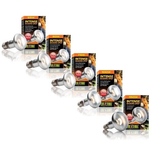 Exo terra intense basking - basking, spot